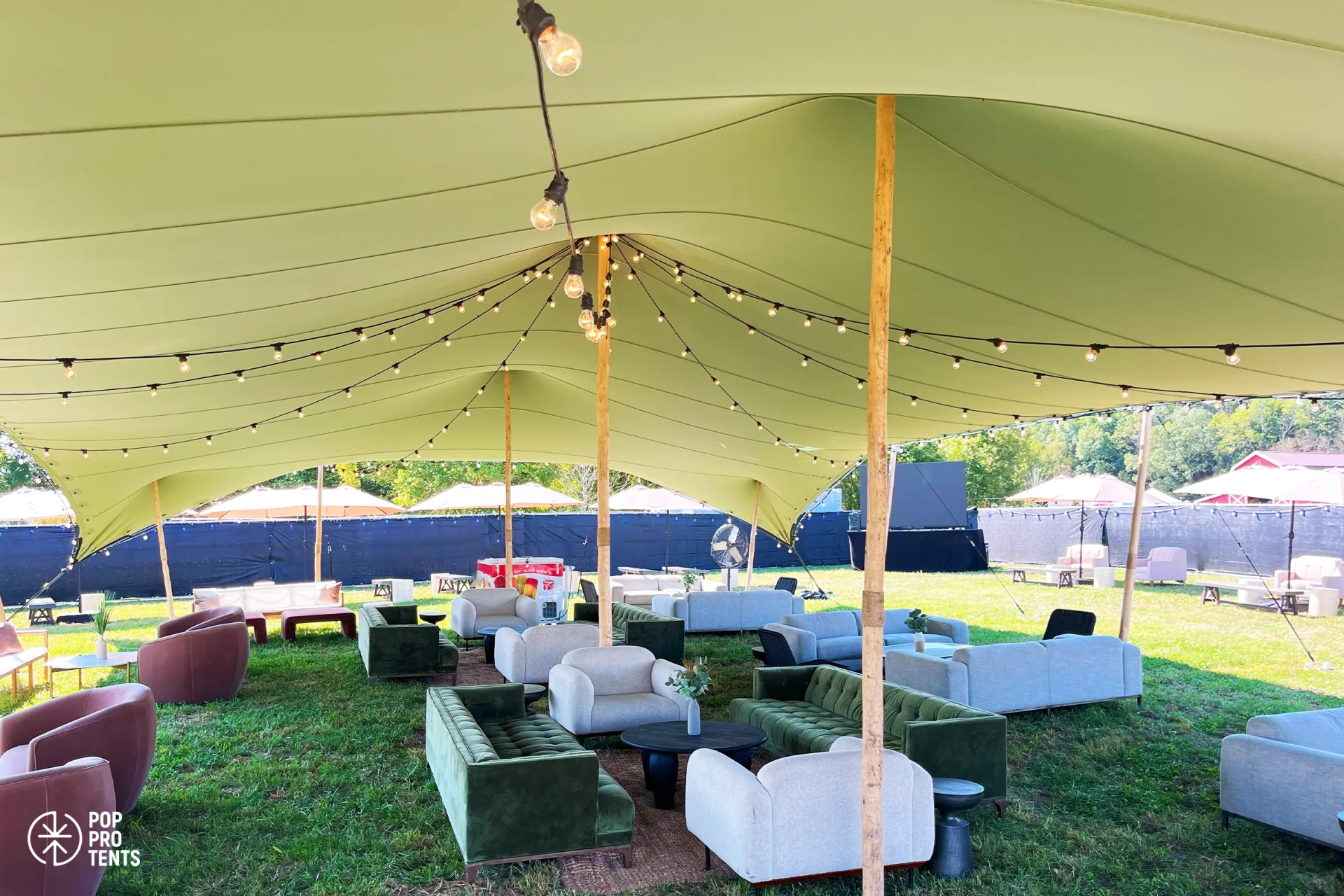 Ivory & Gold Drape Setup